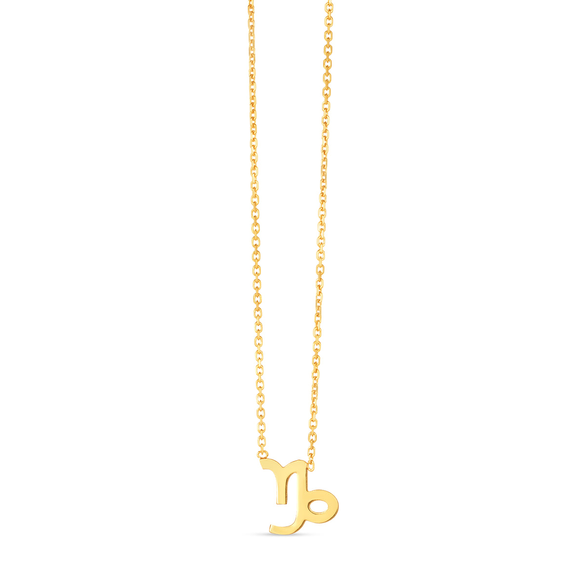14K Yellow Gold Necklace